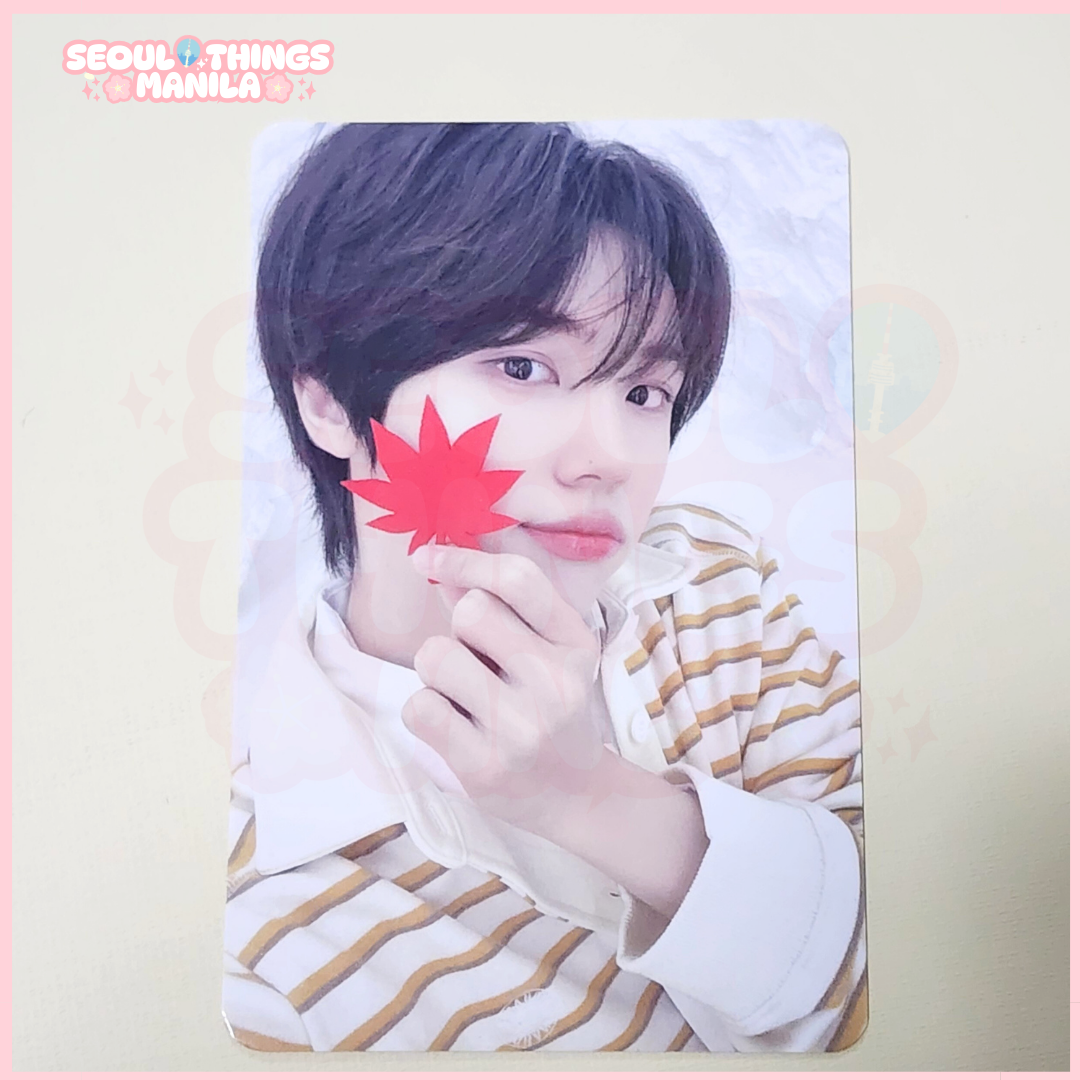 [ON HAND] CRAVITY - Offline Pop up Store - Autumn Ccrew Doll POB Photocard